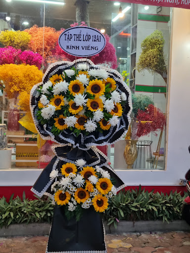 Shop hoa Tươi Sun Flower - Tiệm hoa tại Thành phố Phan Thiết, Bình Thuận