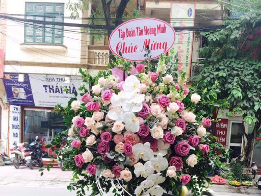 Hoa Tươi Mỏ Cày Nam Bến Tre - Tiệm hoa tại Huyện Mỏ Cày Nam, Bến Tre