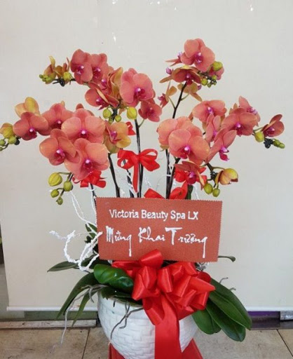 Shop Hoa Tươi Thứa, Lương Tài, Bắc Ninh - Tiệm hoa tại Huyện Lương Tài, Bắc Ninh