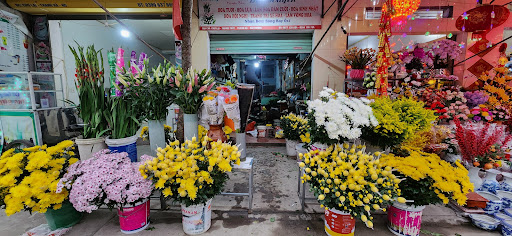 Cửa hàng hoa tươi Huyền Đạt - Tiệm hoa tại Huyện Thanh Hà, Hải Dương