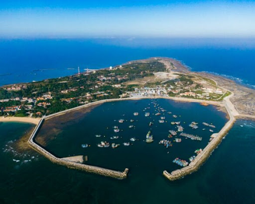 Shop Hoa Xanh Bạch Long Vĩ - Tiệm hoa tại Huyện Bạch Long Vĩ, Hải Phòng