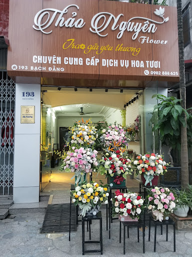 Hoa Tươi Hải Phòng - Thảo Nguyên Flower - Tiệm hoa tại Quận Hồng Bàng, Hải Phòng