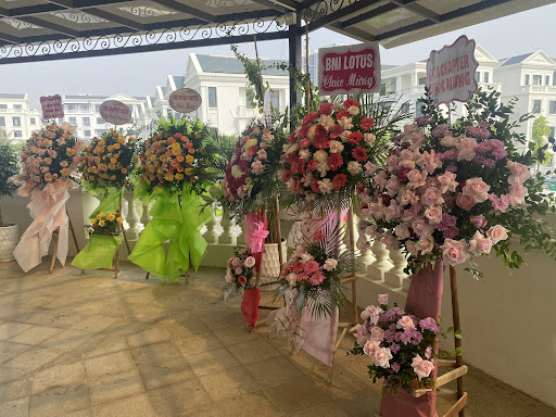 Hoa tươi nghệ thuật Feeling Love - Tiệm hoa tại Quận Hồng Bàng, Hải Phòng