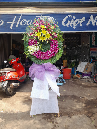 Hoa tươi gia lai Giọt Nắng - Tiệm hoa tại Thành phố Pleiku, Gia Lai