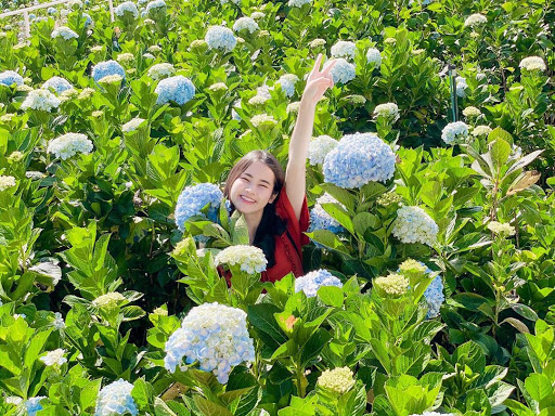 Shop Hoa Tươi Vị Xuyên, Hà Giang - Tiệm hoa tại Huyện Vị Xuyên, Hà Giang