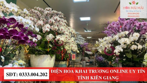 Shop Hoa Tươi Rạch Giá - Điện Hoa Kiên Giang - Tiệm hoa tại Huyện Giang Thành, Kiên Giang