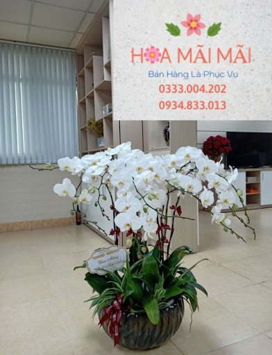 Shop Hoa Tươi Kon Tum - Điện Hoa Kon Tum - Tiệm hoa tại Huyện Ia H’Drai, Kon Tum
