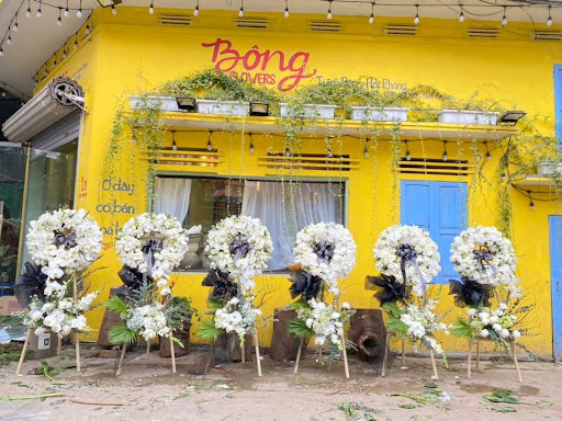 Tiệm Bông Hải Phòng - Tiệm hoa tại Quận Hồng Bàng, Hải Phòng