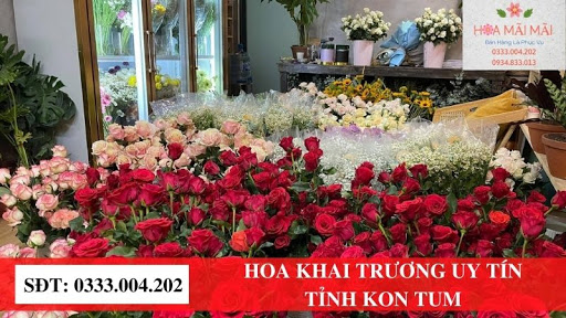 Shop Hoa Tươi Kon Tum - Điện Hoa Kon Tum - Tiệm hoa tại Huyện Đăk Glei, Kon Tum