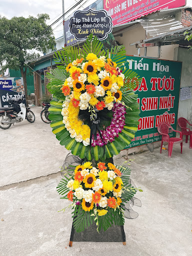 HOA TƯƠI TIẾN HOA - Tiệm hoa tại Huyện Nghi Xuân, Hà Tĩnh