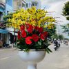 chậu lan hồ điệp, chậu lan hồ điệp đẹp, chậu lan hồ điệp khai trương, chậu lan hồ điệp sinh nhật