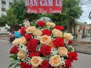 Giỏ hoa đẹp, lẳng hoa đẹp,giỏ hoa sinh nhật đẹp, giỏ hoa khai trương đẹp