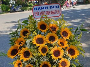 Giỏ hoa đẹp, lẳng hoa đẹp,giỏ hoa sinh nhật đẹp, giỏ hoa khai trương đẹp