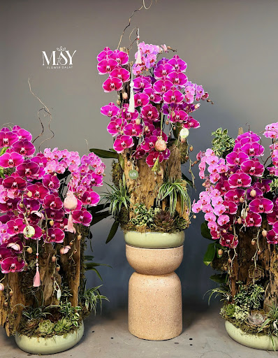 Shop Lan Hồ Điệp Đà Lạt - Hoa Tươi Mây Flower - Tiệm hoa tại Huyện Đam Rông, Lâm Đồng