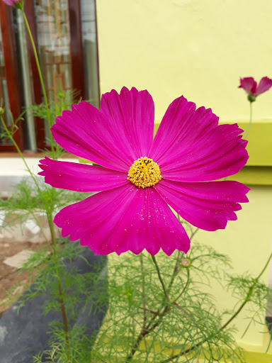 Cửa hàng Yến Thế - Tiệm hoa tại Huyện Minh Hóa, Quảng Bình