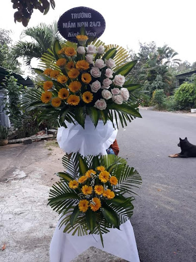 Cửa hàng hoa SOAN THI - Tiệm hoa tại Huyện Sơn Hòa, Phú Yên