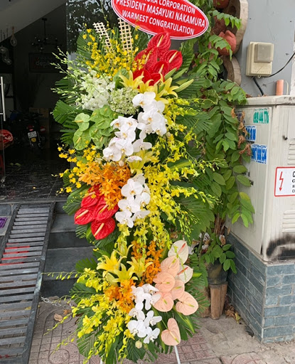 Shop Hoa Tươi Phong Nha, Bố Trạch, Quảng Bình - Tiệm hoa tại Huyện Bố Trạch, Quảng Bình