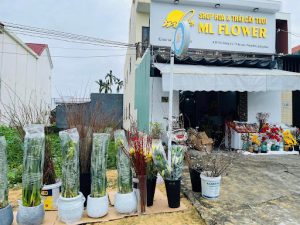 Top 7 Tiệm hoa tại Huyện Thăng Bình, Quảng Nam Chất Lượng, Đa Dạng và Giá Tốt