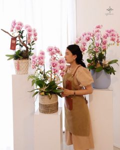 Top 10+ Tiệm hoa tại Thành phố Phú Quốc, Kiên Giang: Chất Lượng Vượt Trội, Giá Cả Hợp Lý
